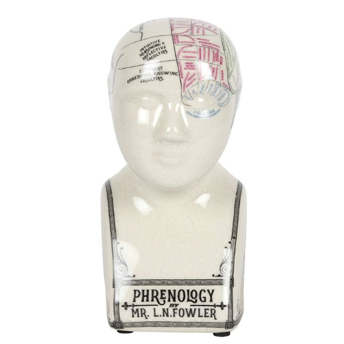 Phrenology Head Phrenology Head