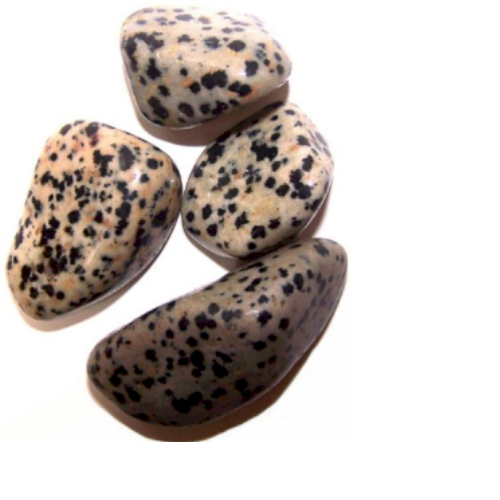 Tumble Stones - Dalmation JasperStone