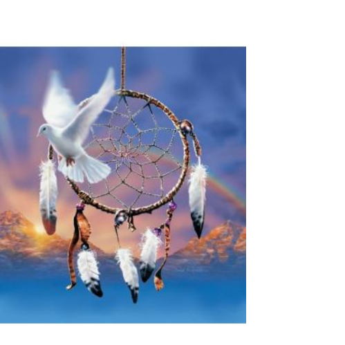 Dreamcatcher Dove blank greeting card