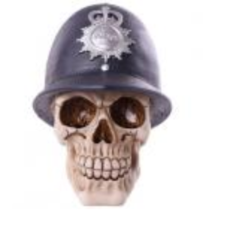 Decorative Skull in Police Helmet | Wyrdos
