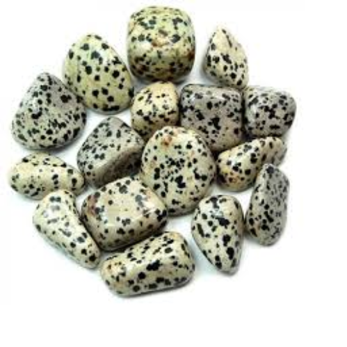 Dalmation Jasper