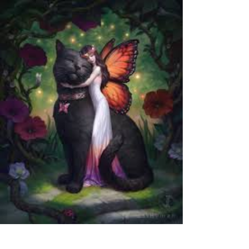 Fairy Friend Blank Greeting Card
