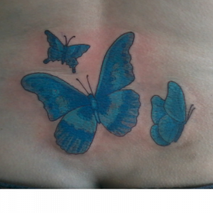 Hilly Butterfly