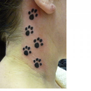 Hilly Paw Prints