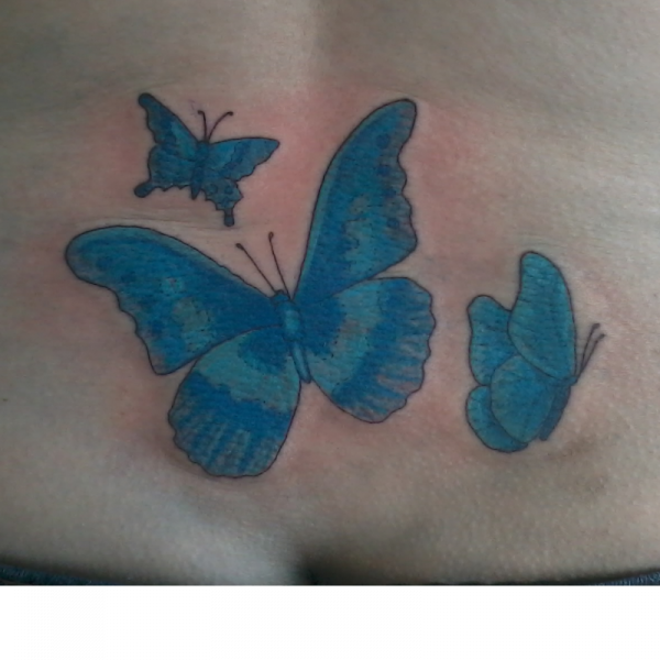 Butterfly