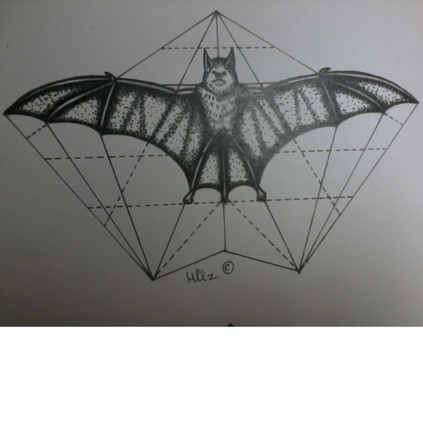 Bat