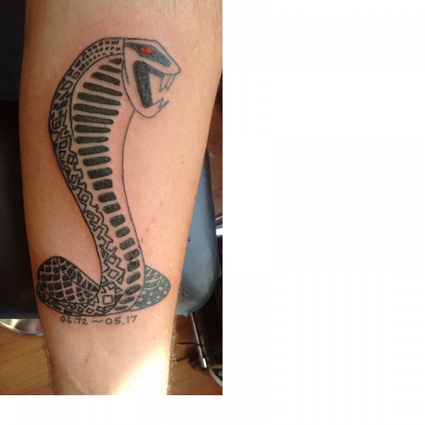 Tribal Snake